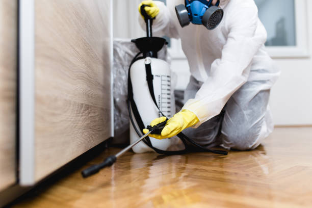 Best Best Pest Control Companies  in Rlborough, MA