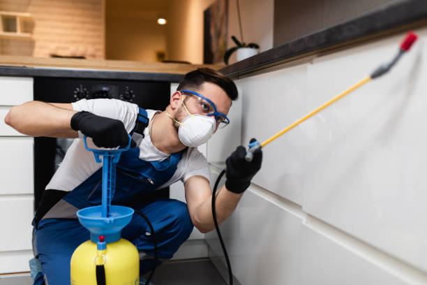 Best Best Pest Control Companies  in Rlborough, MA