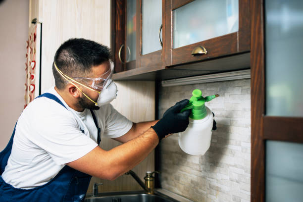 Best Affordable Pest Control Services  in Rlborough, MA
