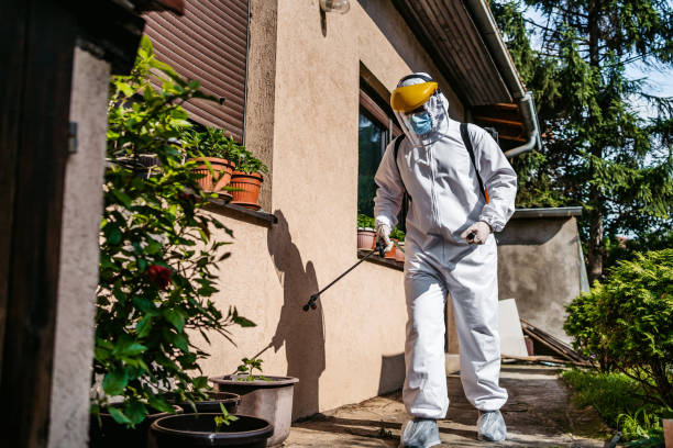 Best Pest Removal Services  in Rlborough, MA