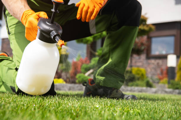 Best Pest Control Treatment  in Rlborough, MA