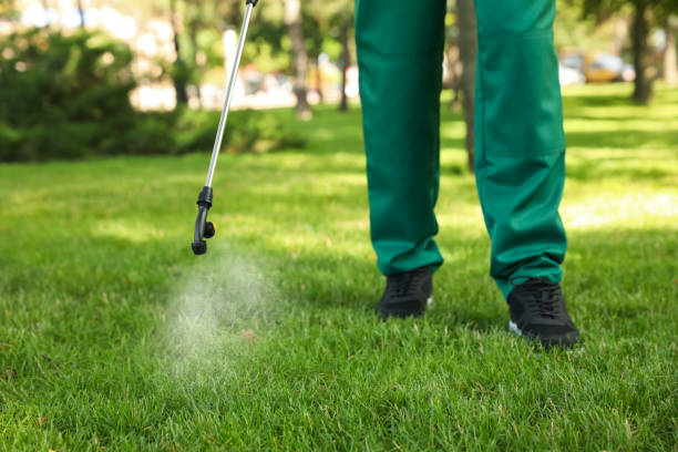 Best Commercial Pest Control Services  in Rlborough, MA