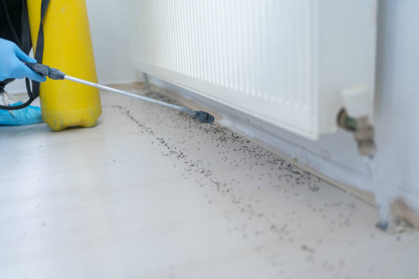 Trusted Marlborough, MA Pest Control Experts
